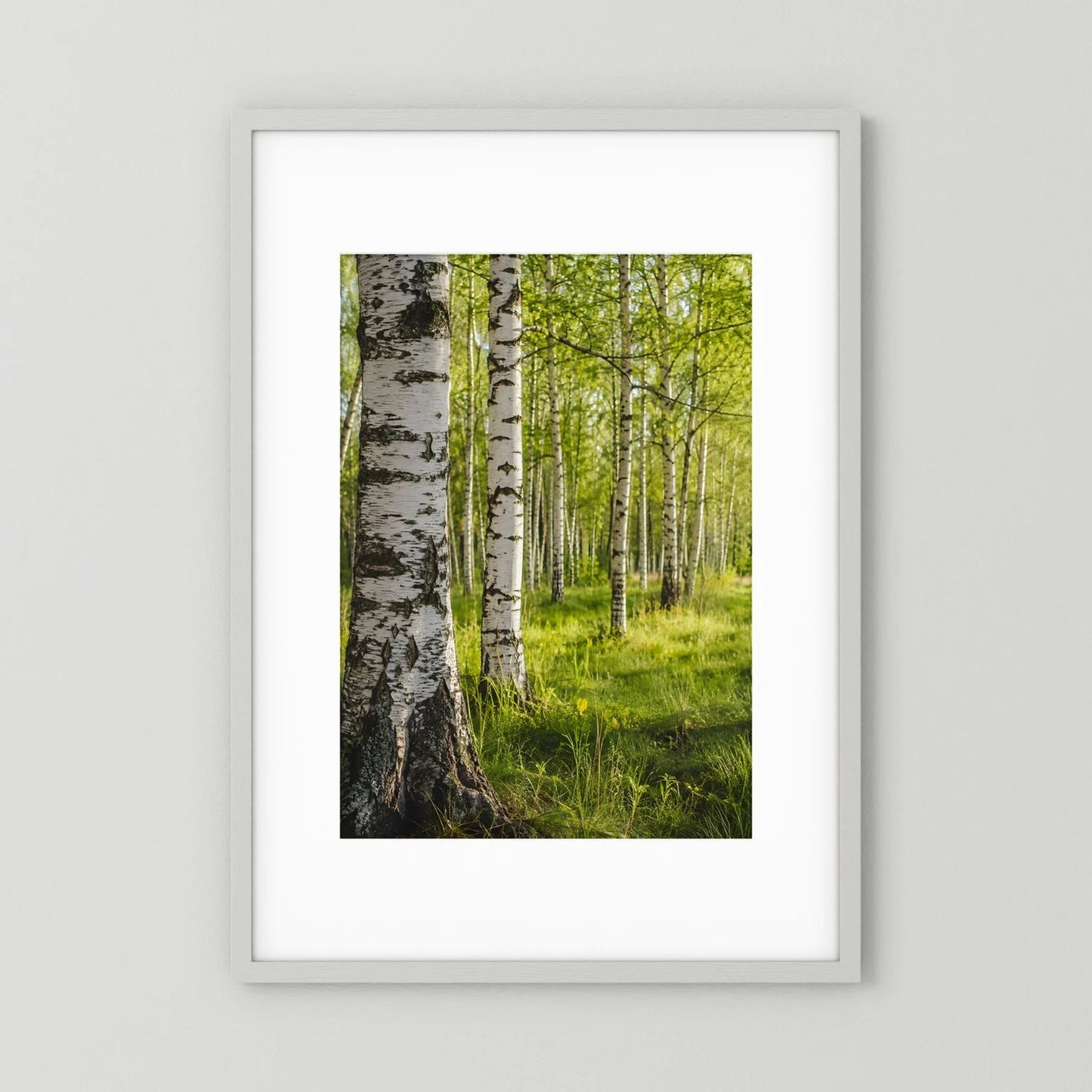 Weiß gerahmtes Poster mit Birkenwald und grünem Laub im Hochformat
