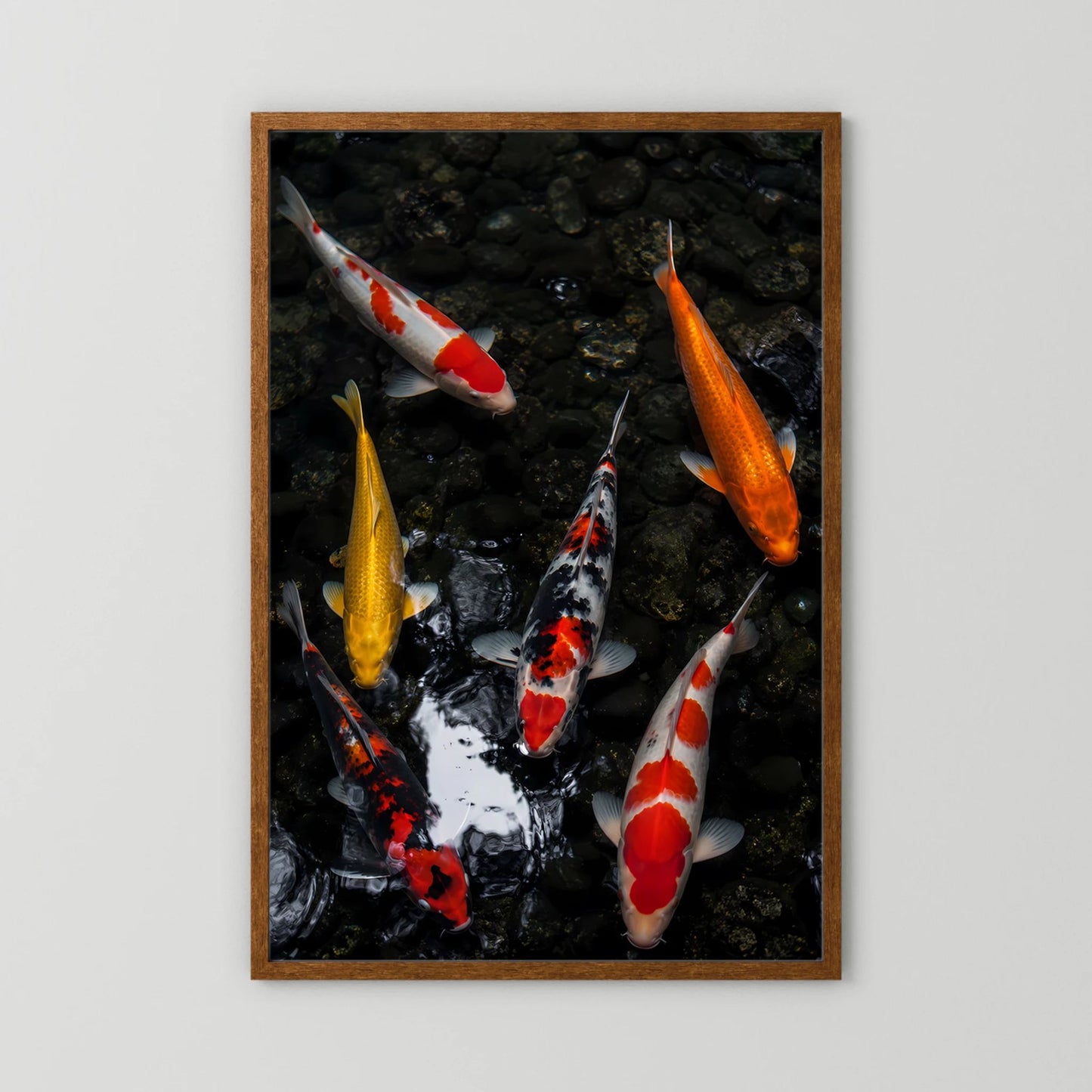 Poster mit Koi-Karpfen im dunklen Teich, brauner Holzrahmen, hochformat