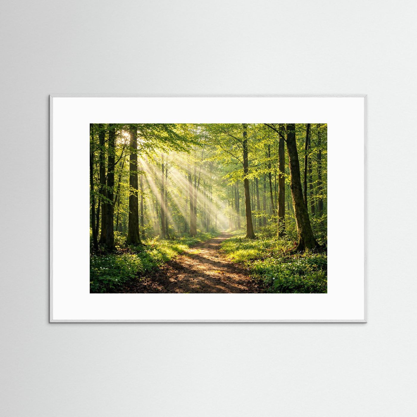 Naturposter im Querformat mit weißem Rahmen und weißem Rand: Waldweg im Wald
