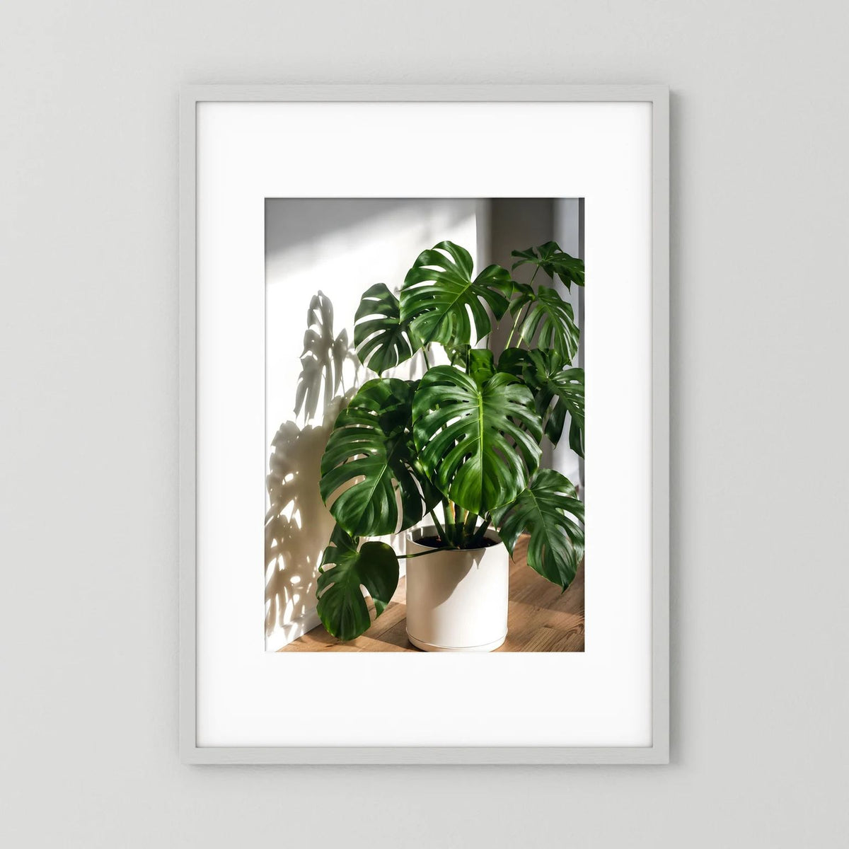 Hochformat-Poster mit Monstera-Pflanze in Topf, großen grünen Blättern