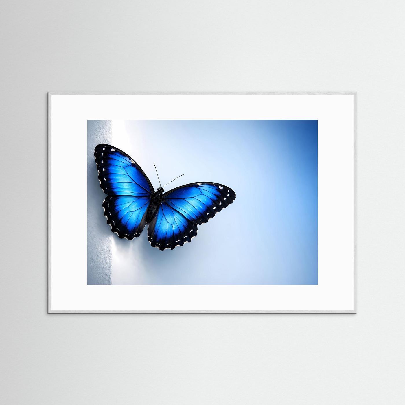 Querformatiges Schmetterlingsposter mit blauem Flügelmotiv im weißen Rahmen
