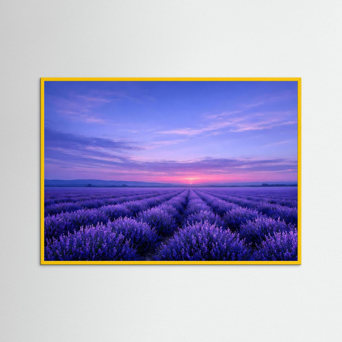Poster Lavendelfeld im Sonnenuntergang | Majestätisches Violettes Wandbild