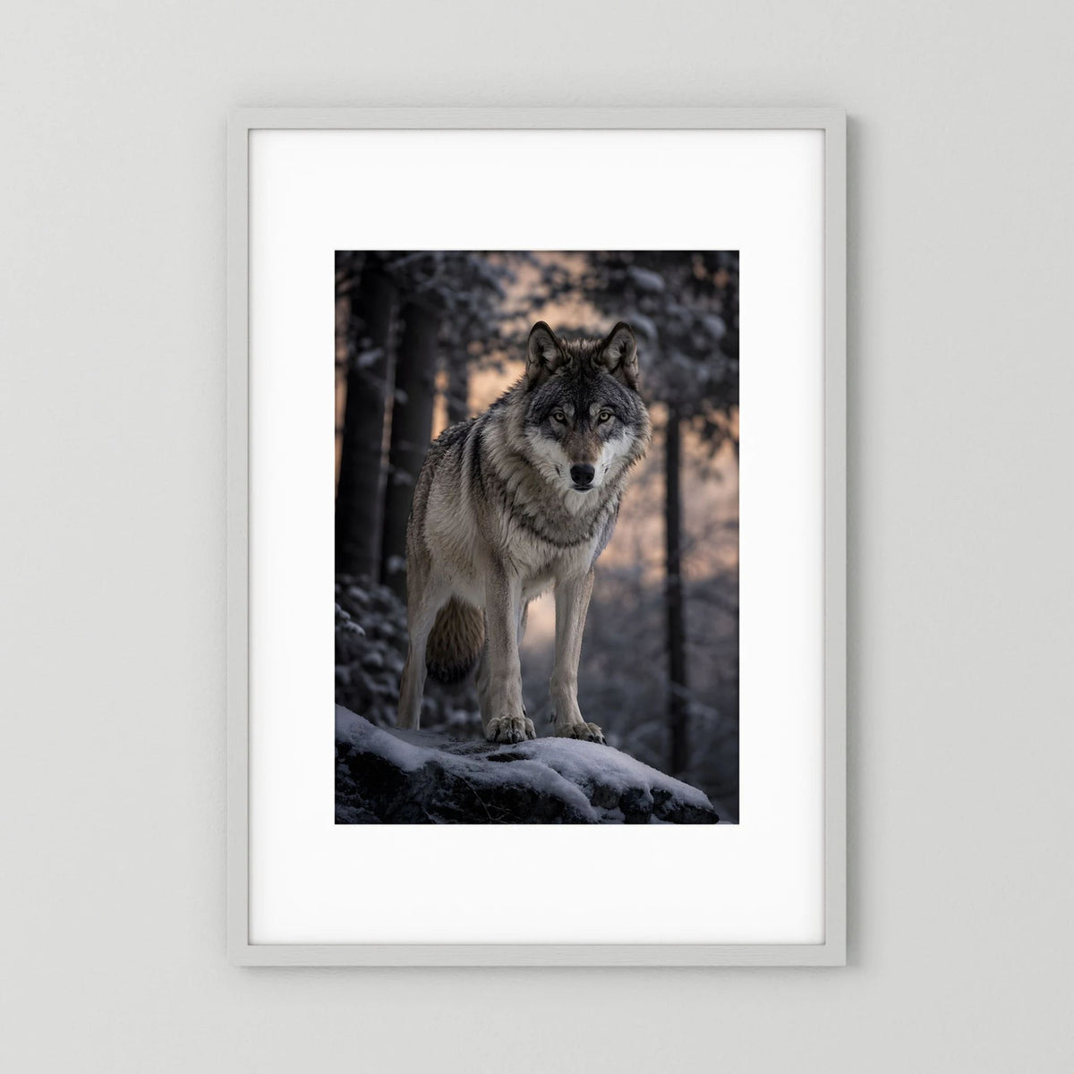Poster im Hochformat mit grauem Wolf im Schnee auf Waldboden, im weißen Rahmen