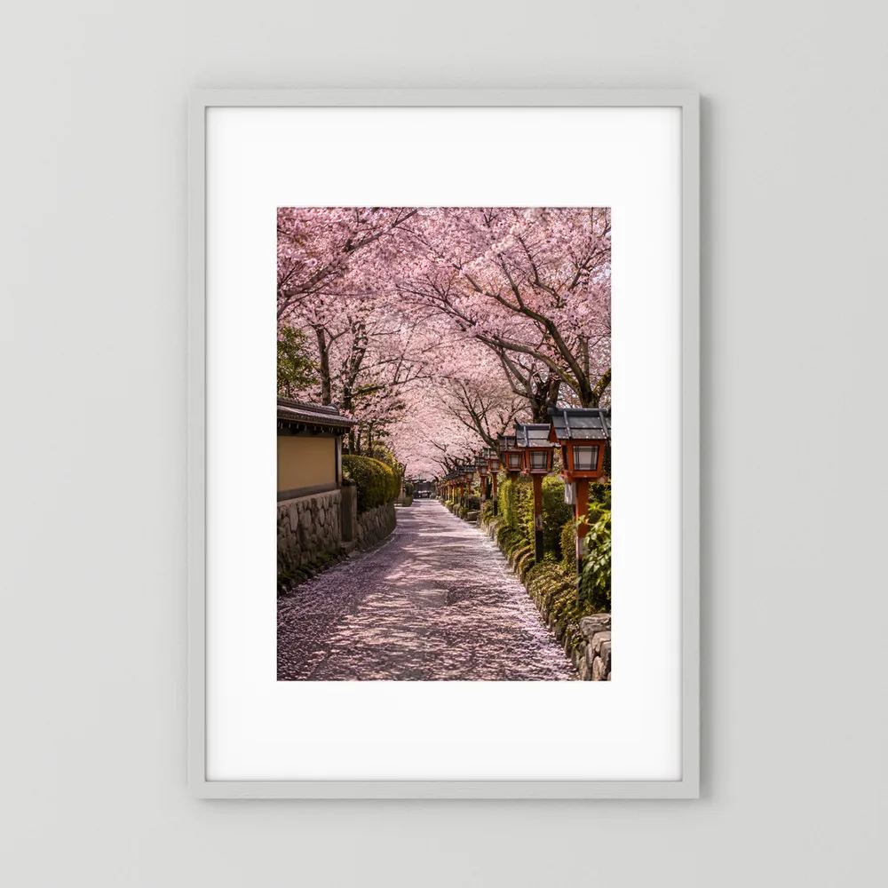 Gerahmtes Hochformat-Poster mit rosafarbenen Kirschblüten und traditionellen Laternen am Weg