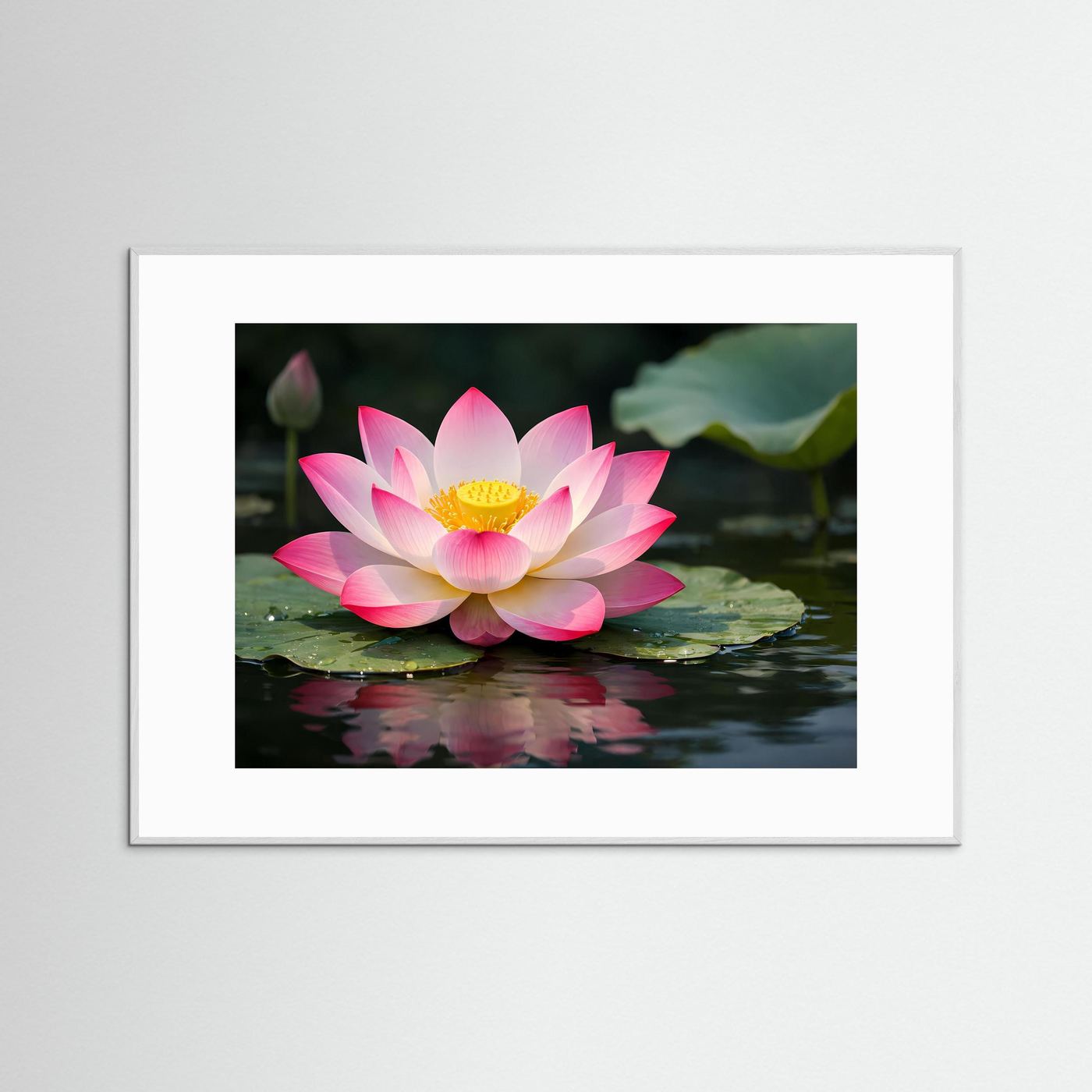 Poster im Querformat mit rosa Lotosblüte auf Wasseroberfläche, silbergrauer Rahmen