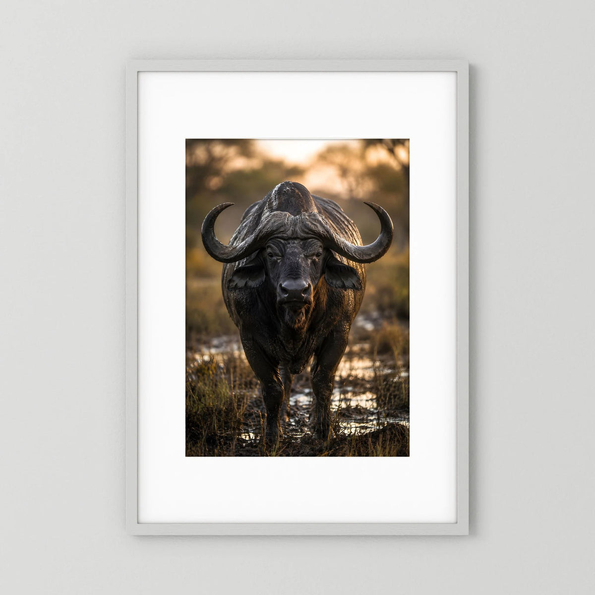 Gerahmtes Tierposter im Hochformat mit schwarzem Kaffernbüffel frontal