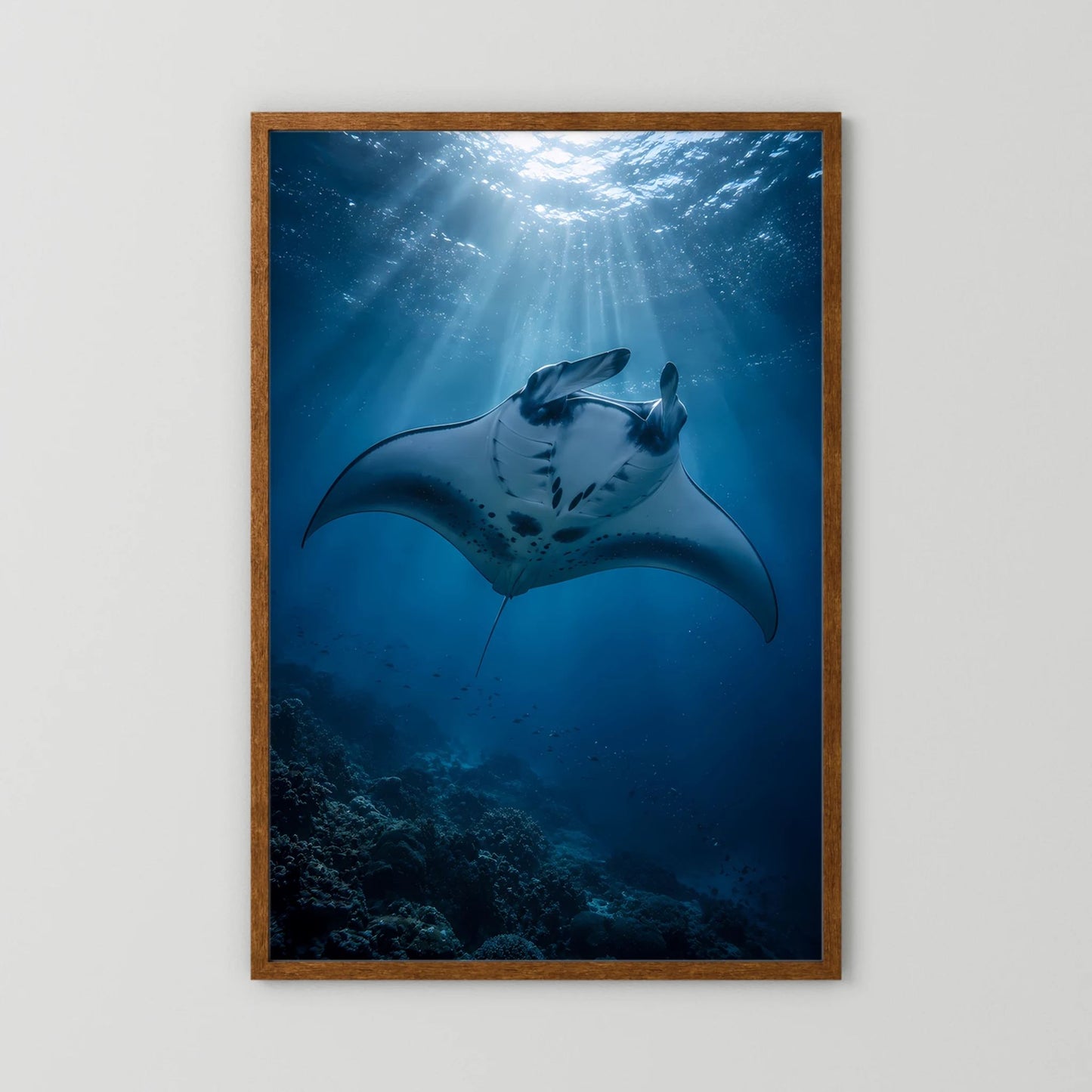 Poster mit Mantarochen unter Lichtstrahlen, tiefblauer Hintergrund, brauner Holzrahmen