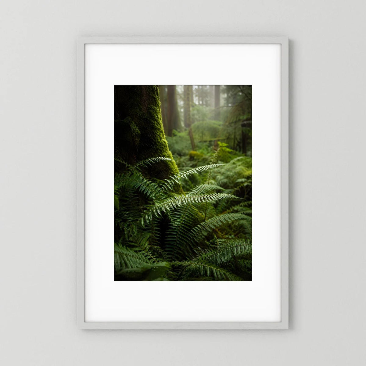 Wald-Farn-Poster im Hochformat mit weißem Rahmen und Passepartout