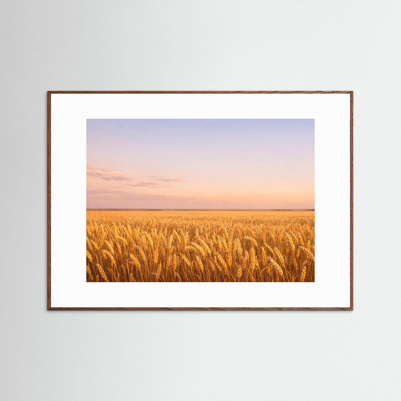 Wandbild mit goldenen Weizenähren bei Sonnenuntergang, dunklerer Holzrahmen, weißes Passepartout