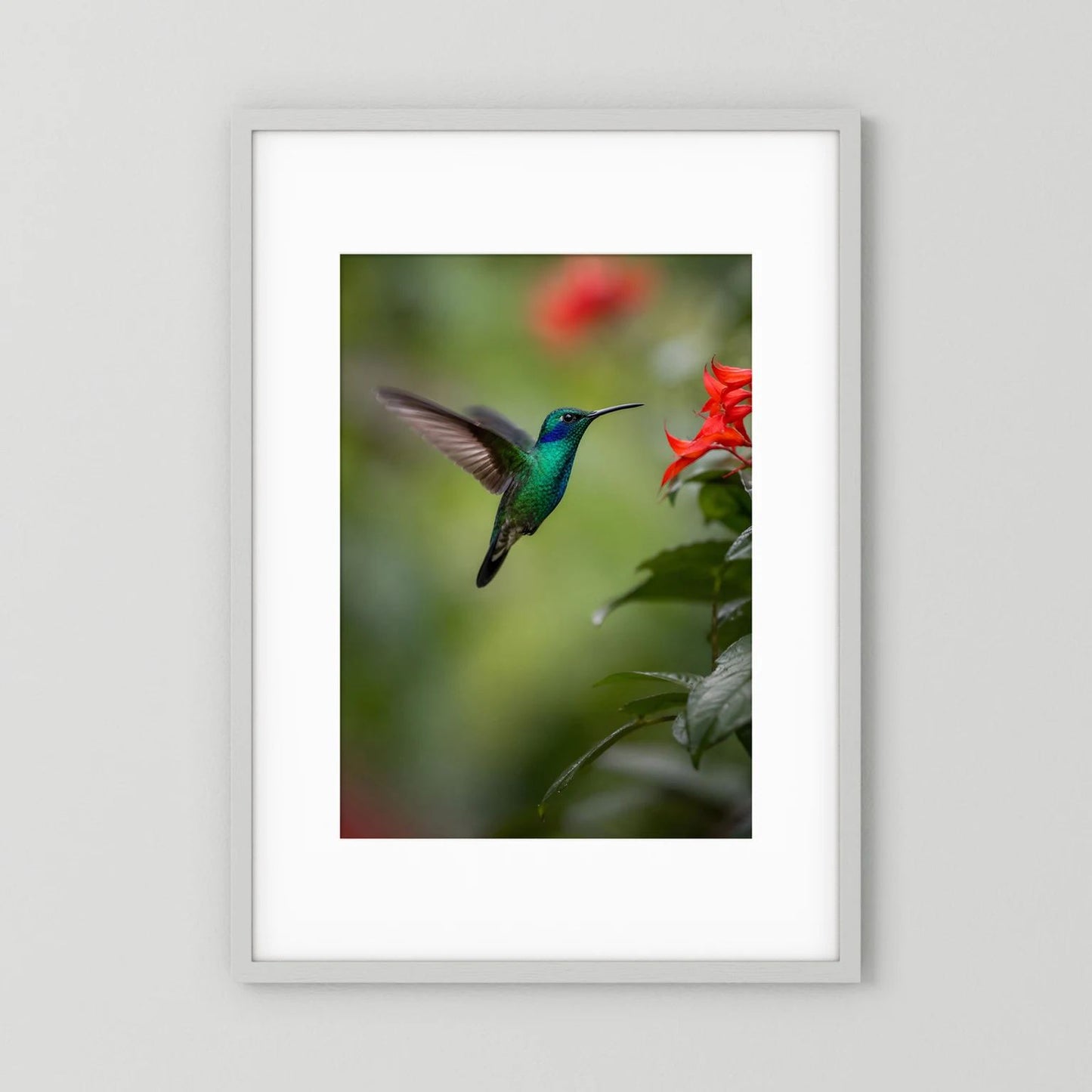 Hochformatiges Wandbild mit grün-blauem Kolibri im Flug und roten Blüten