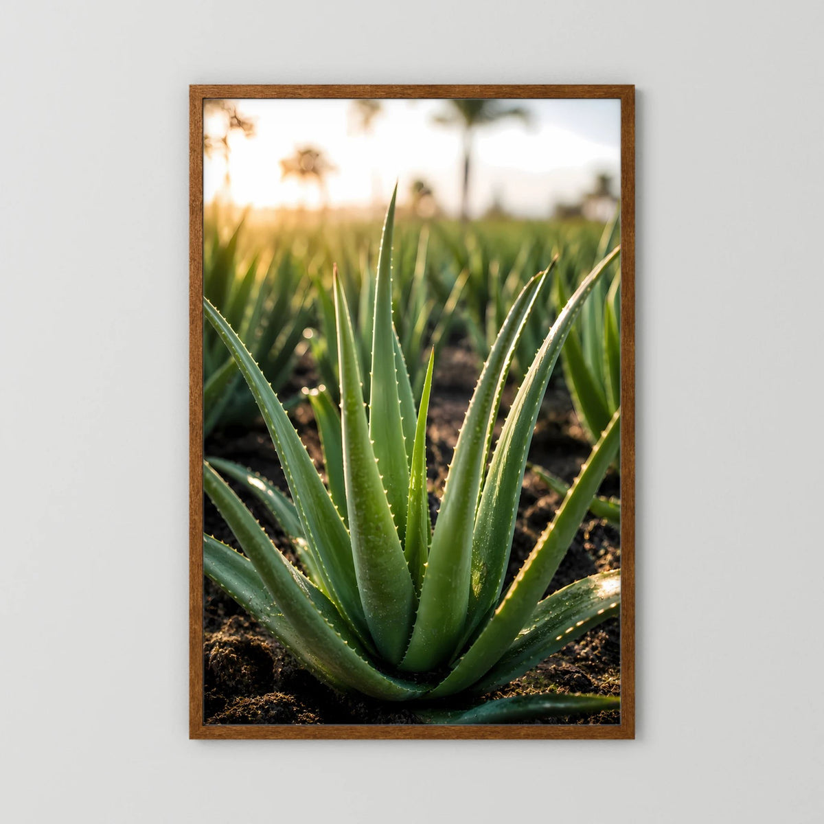 Poster mit Aloe-Vera-Sukkulente, brauner Holzrahmen, Nahansicht