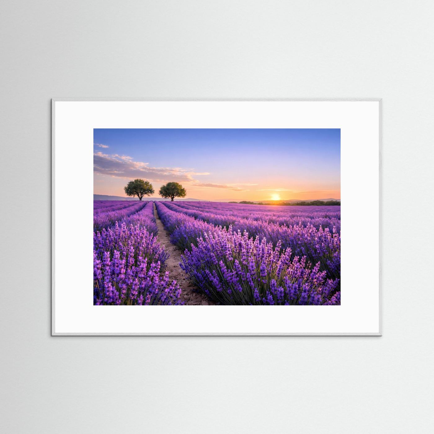 Querformatiges Poster mit violetten Lavendelfeldern und Sonnenuntergang, weißer Rahmen