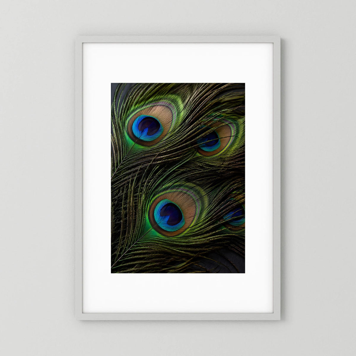 Gerahmtes Poster mit Pfauenfeder-Motiv: grüne Federn mit blauen Augen, hochkant