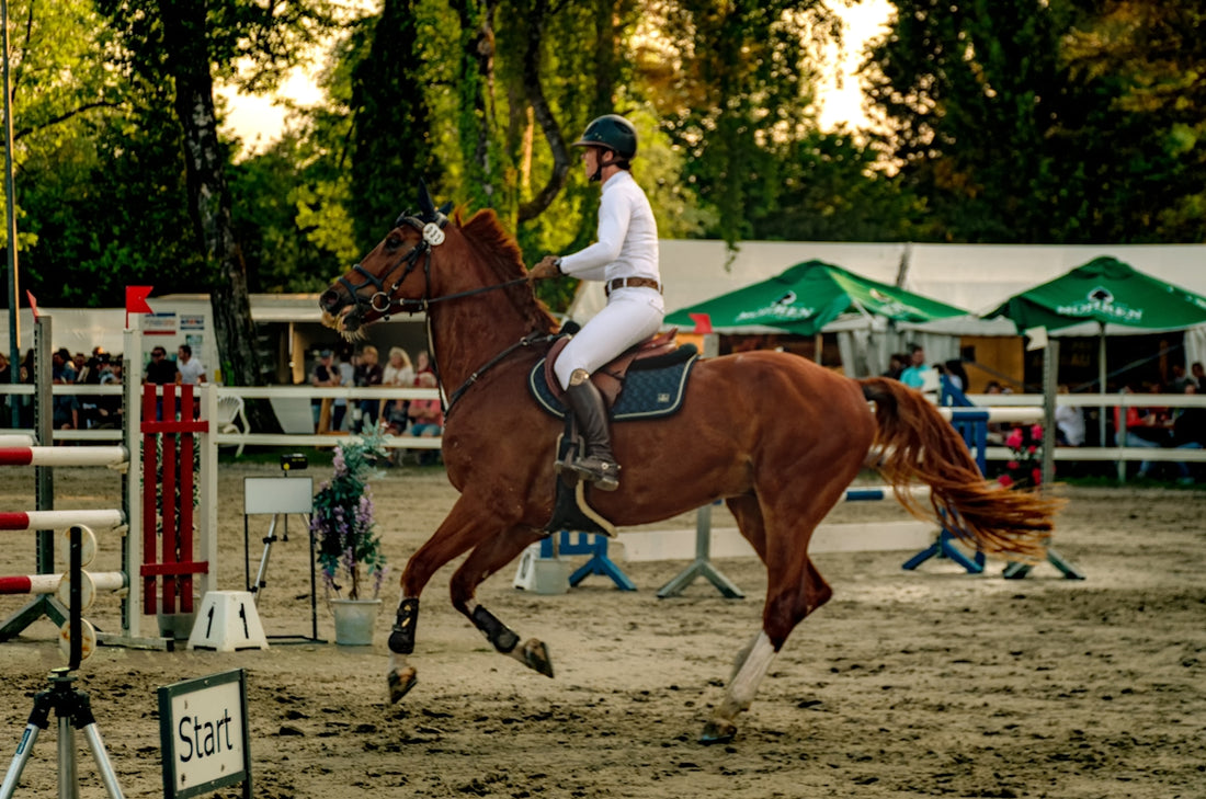 A horse and rider compete in an equestrian event.