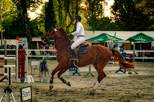 A horse and rider compete in an equestrian event.