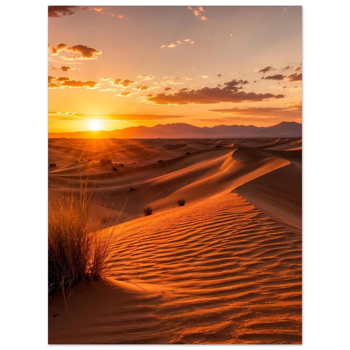 Wüstenposter mit goldenen Sanddünen, tiefstehender Sonne und Gräsern im Vordergrund