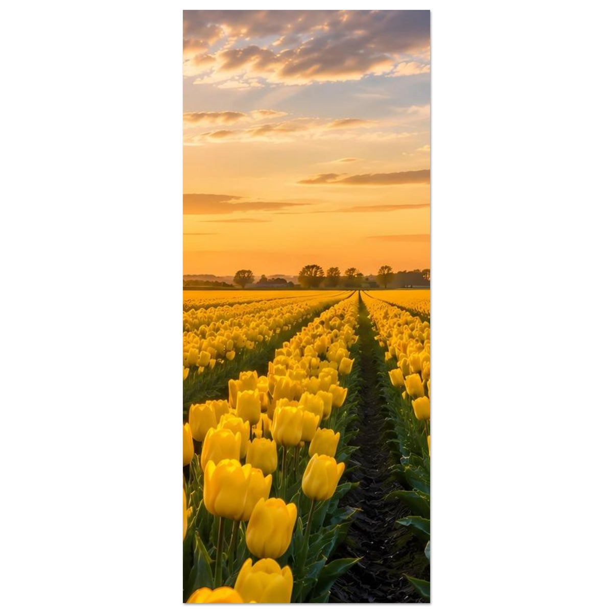 Hochformat-Poster mit gelben Tulpen entlang eines schmalen Weges, Windmühle rechts