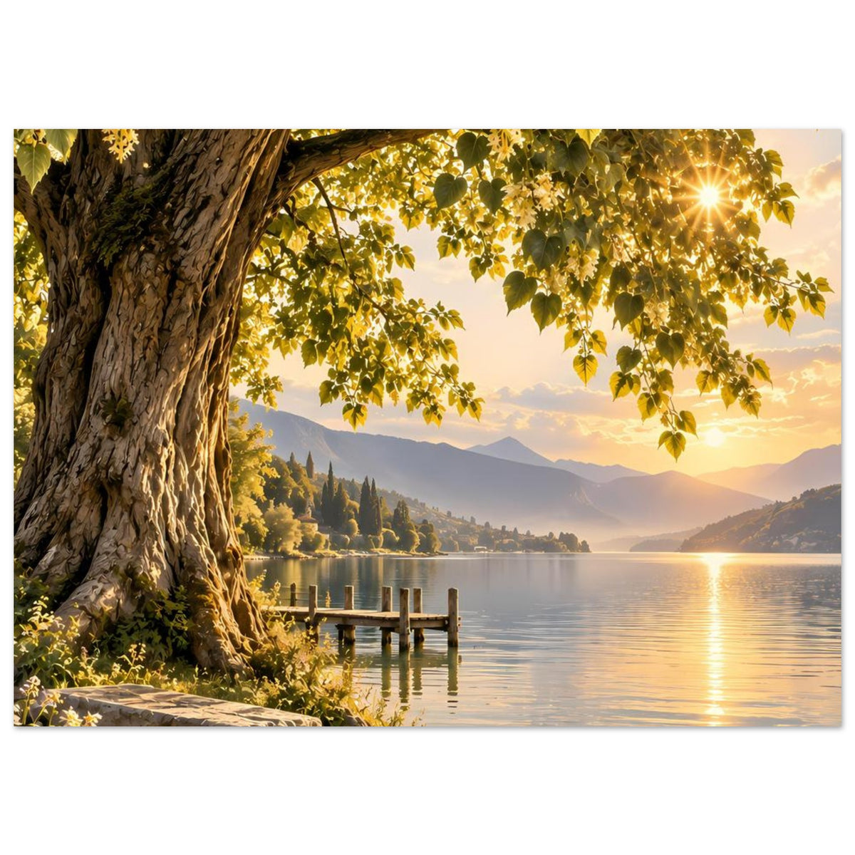 Poster mit Baumstamm, überhängenden Blättern, See und Holzsteg im Abendlicht