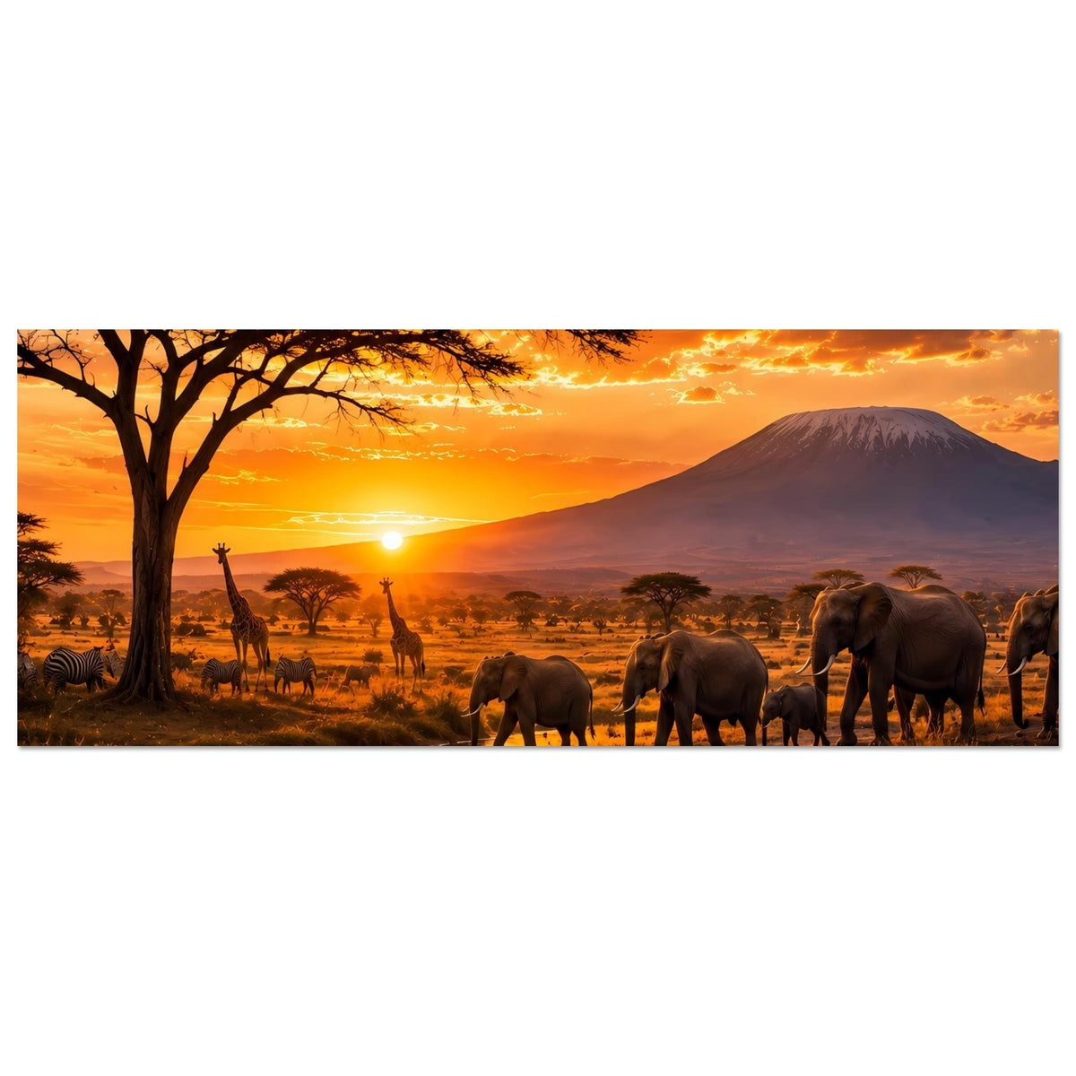 Afrika-Safari-Poster, Panorama: Elefanten an Flussufer, Akazienbaum und orangefarbener Sonnenuntergang.