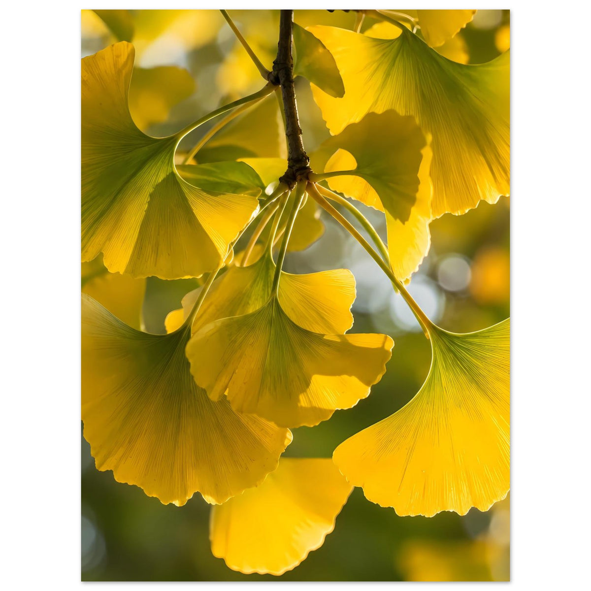Ginkgoblatt-Poster mit gelben Blattwedeln und grünem Zweig, auf mattem Premiumpapier.