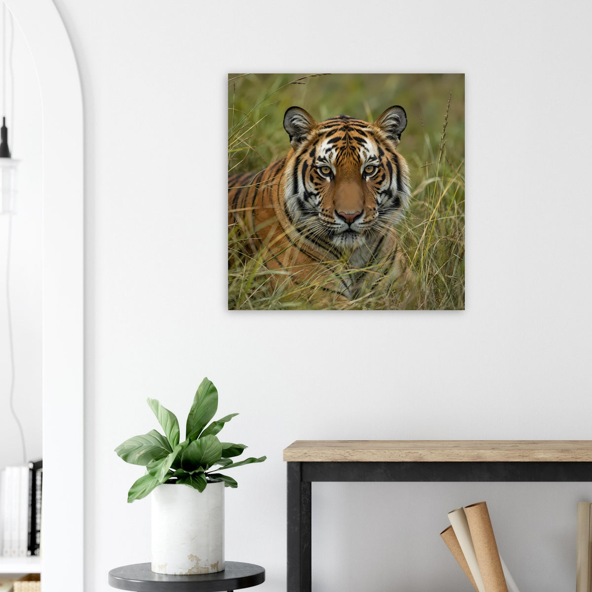 Tiger-Poster: Tiger im Gras mit ruhigem Blick, quadratischer Rahmen