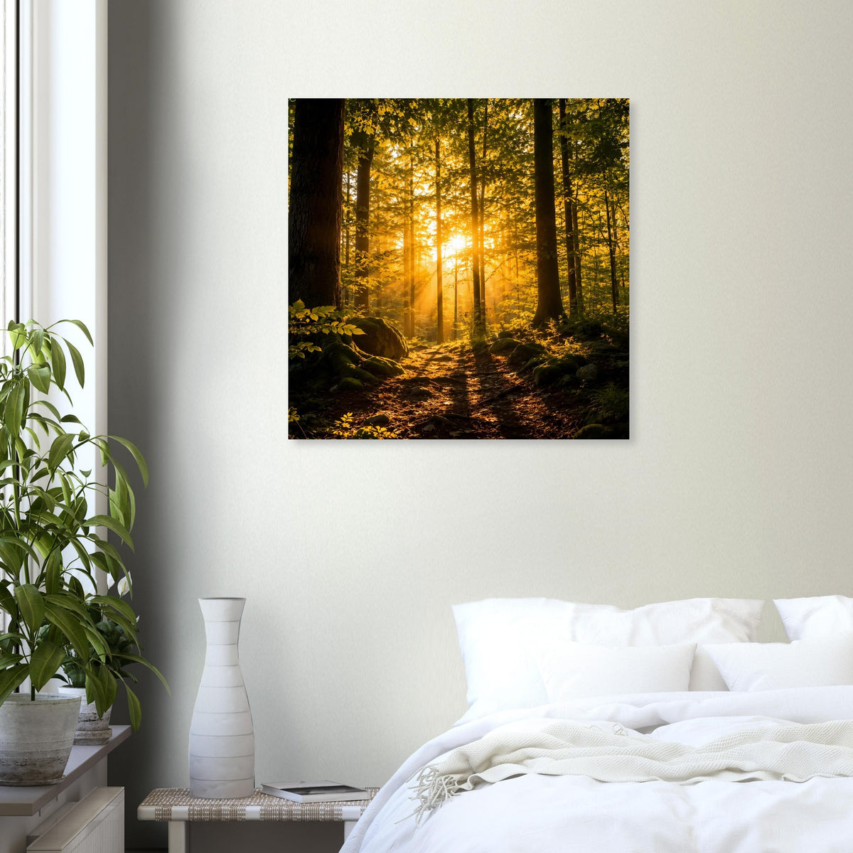 Quadratisches Poster mit Waldweg im warmen Licht und goldenen Strahlen zwischen Baumstämmen