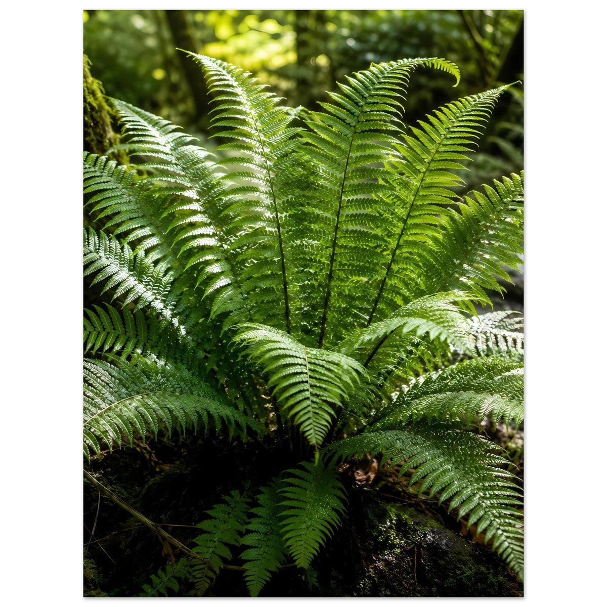 Botanisches Naturposter: grüne Farnwedel mit detaillierter Relief-Textur