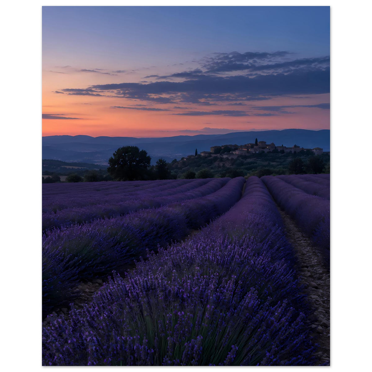 Wandposter mit Lavendelfeld und Abendhimmel, Weg zwischen violetten Reihen
