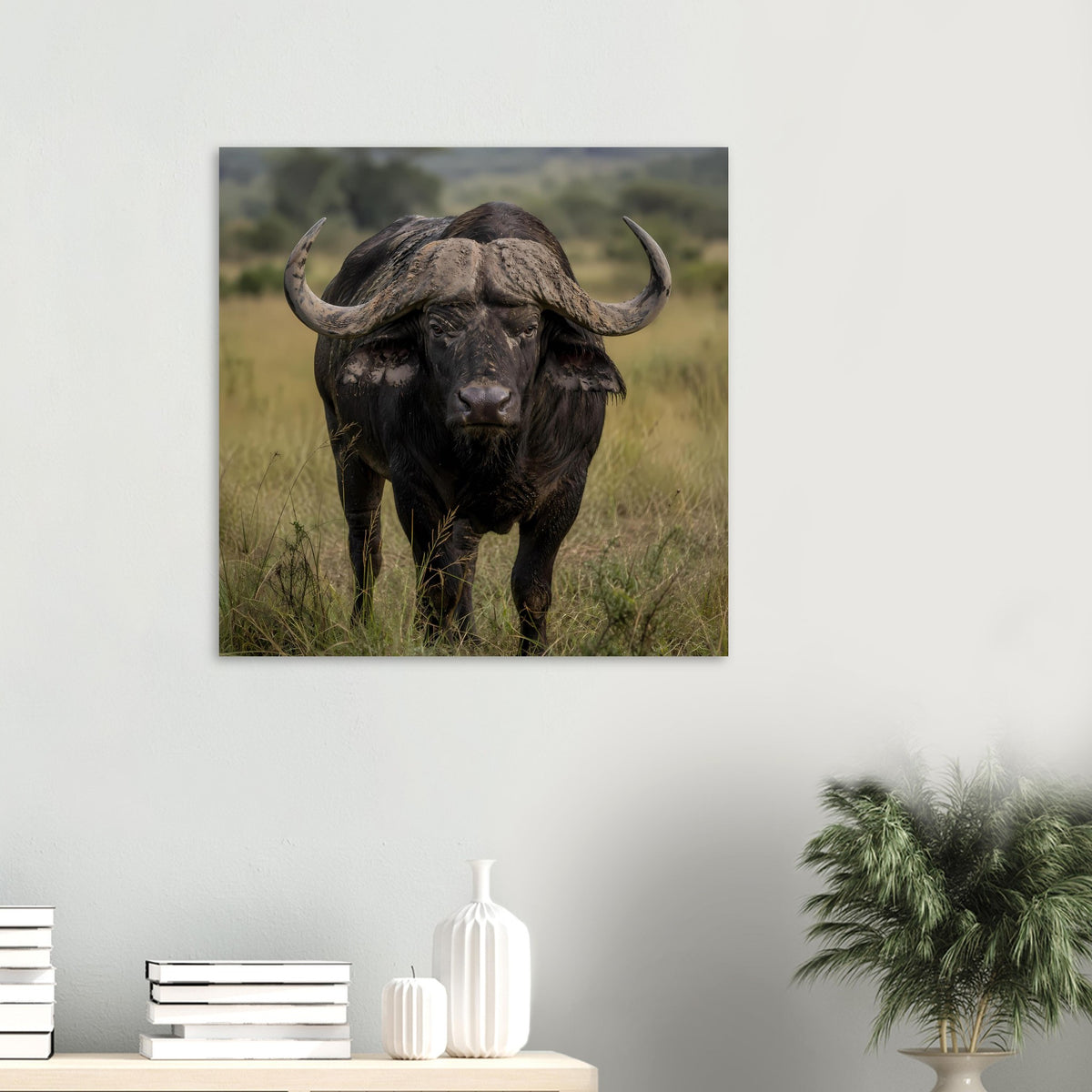 Poster mit schwarzem Afrikanischem Büffel im Gras, frontal blickend