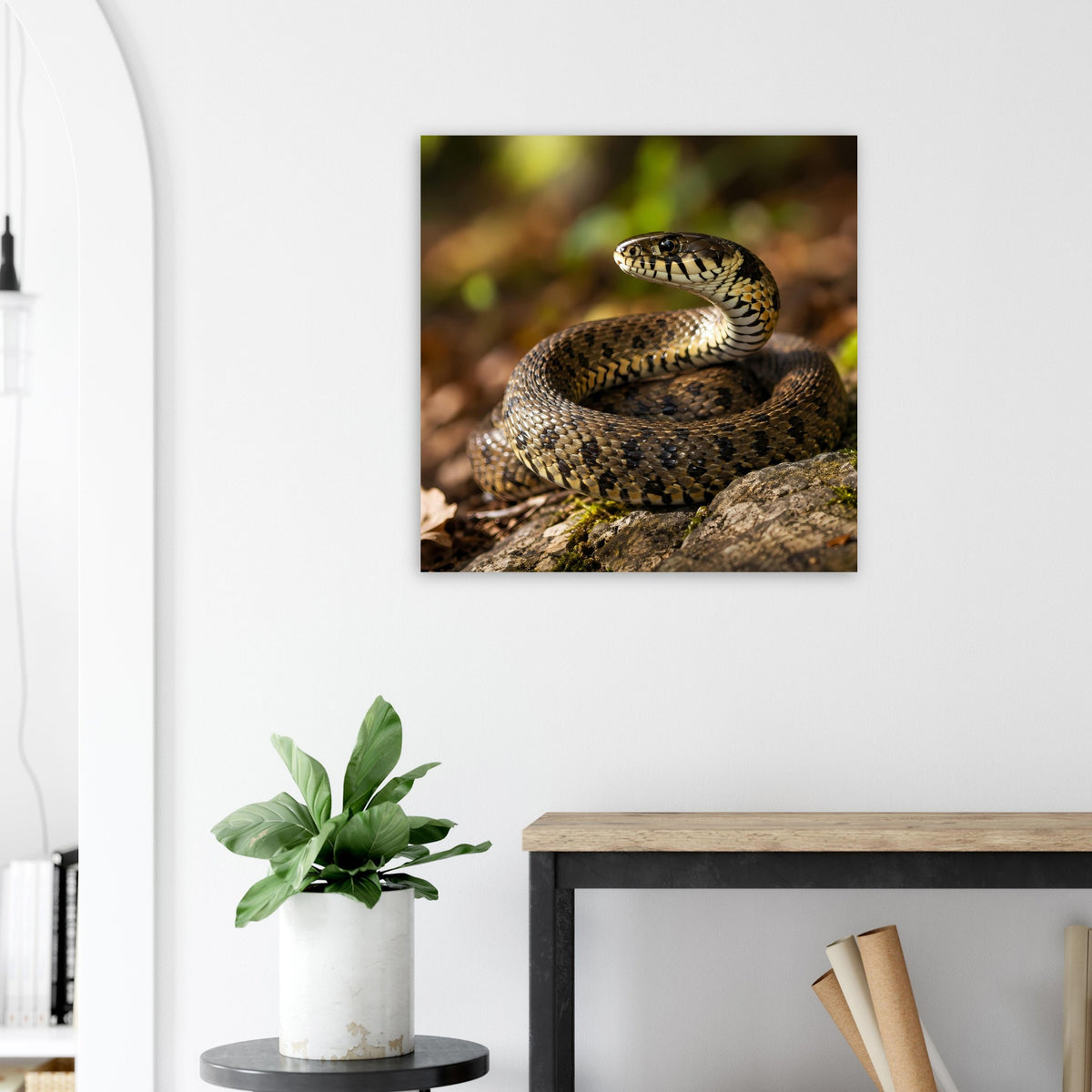 Quadratisches Wandposter mit eingerollter Schlange in Braun- und Goldtönen