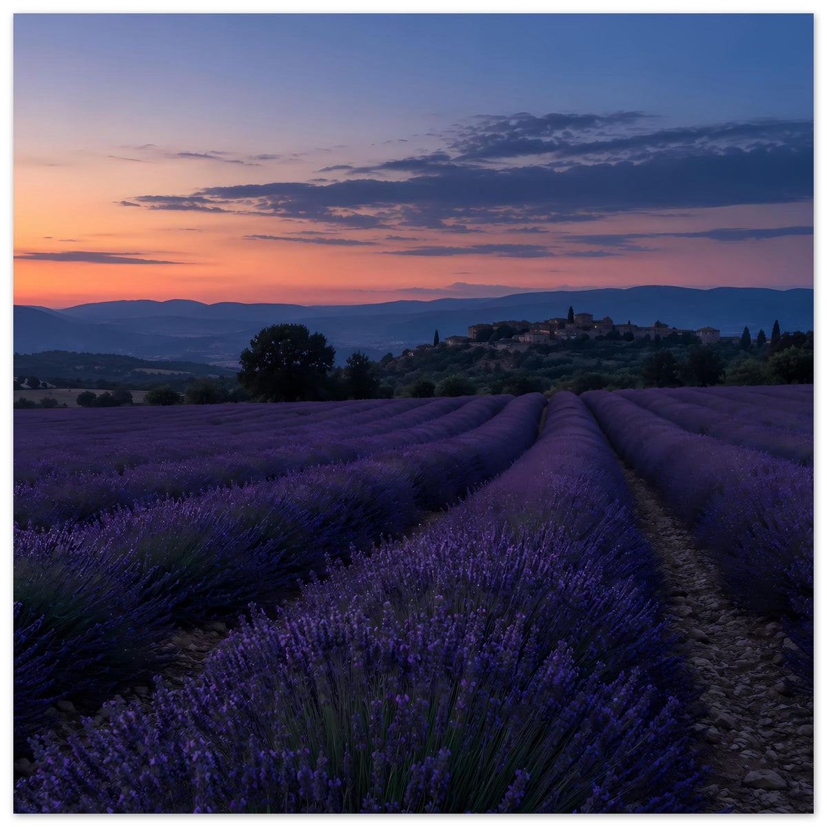 Landschafts-Poster: violettes Lavendelfeld, heller Horizont und Dämmerungswolken am Himmel