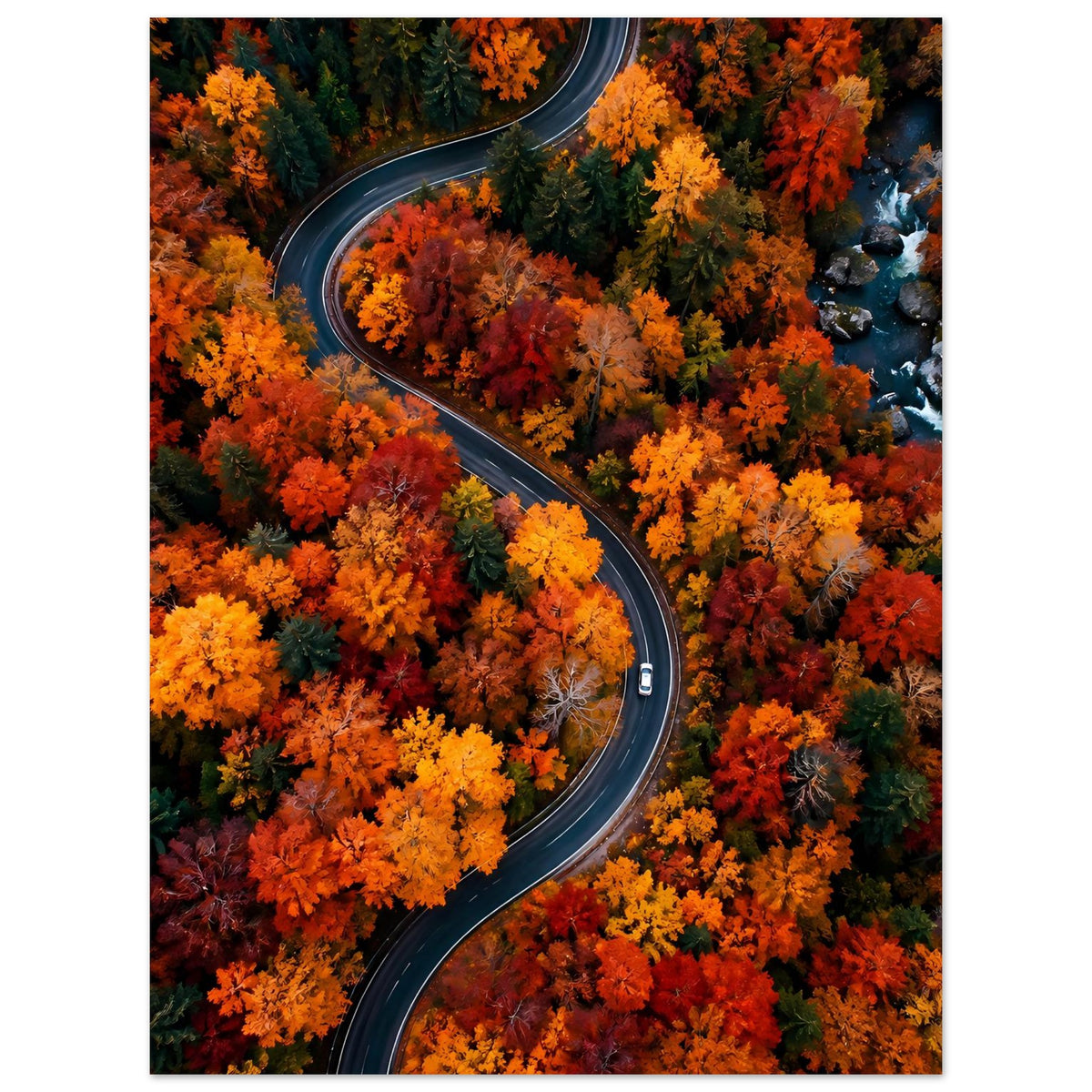 Herbstposter mit zwei Straßenbögen und buntem Laub, orange, gelb und rot, Hochformat