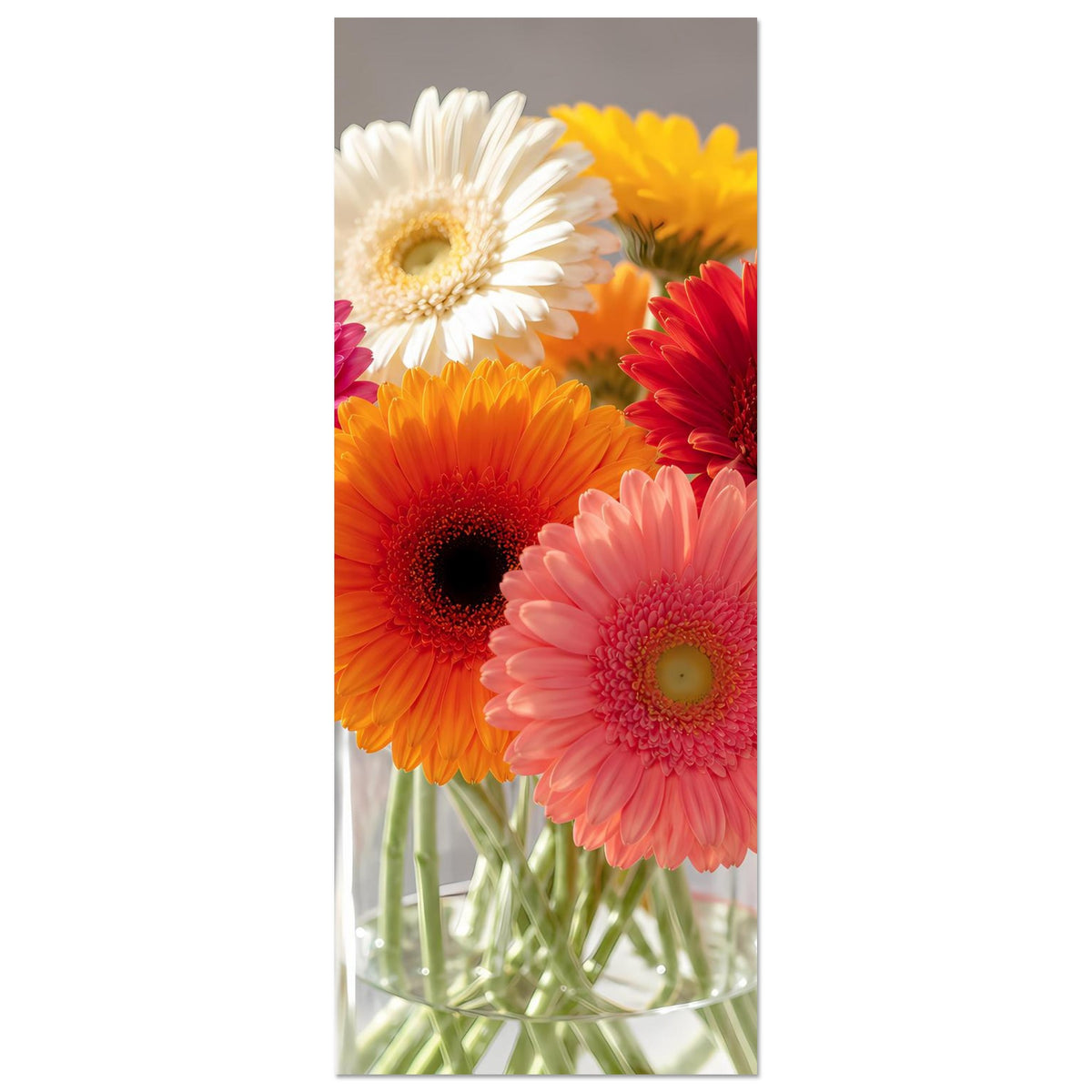 Vertikales Poster mit Gerbera-Ausschnitt, orange und rote Blüten im Glasgefäß