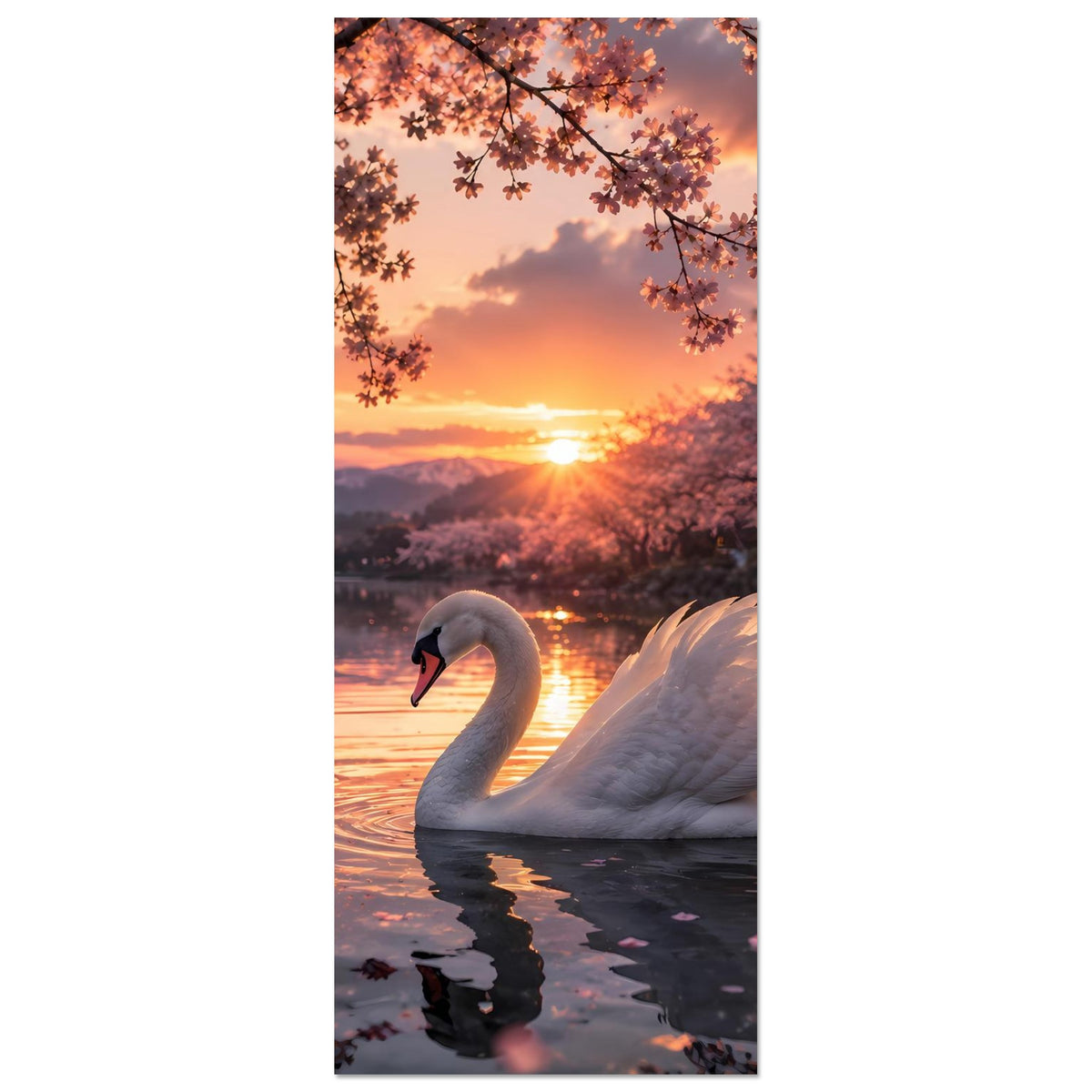 Schwan im vertikalen Bildausschnitt am Wasser bei Sonnenuntergang unter Kirschblüten