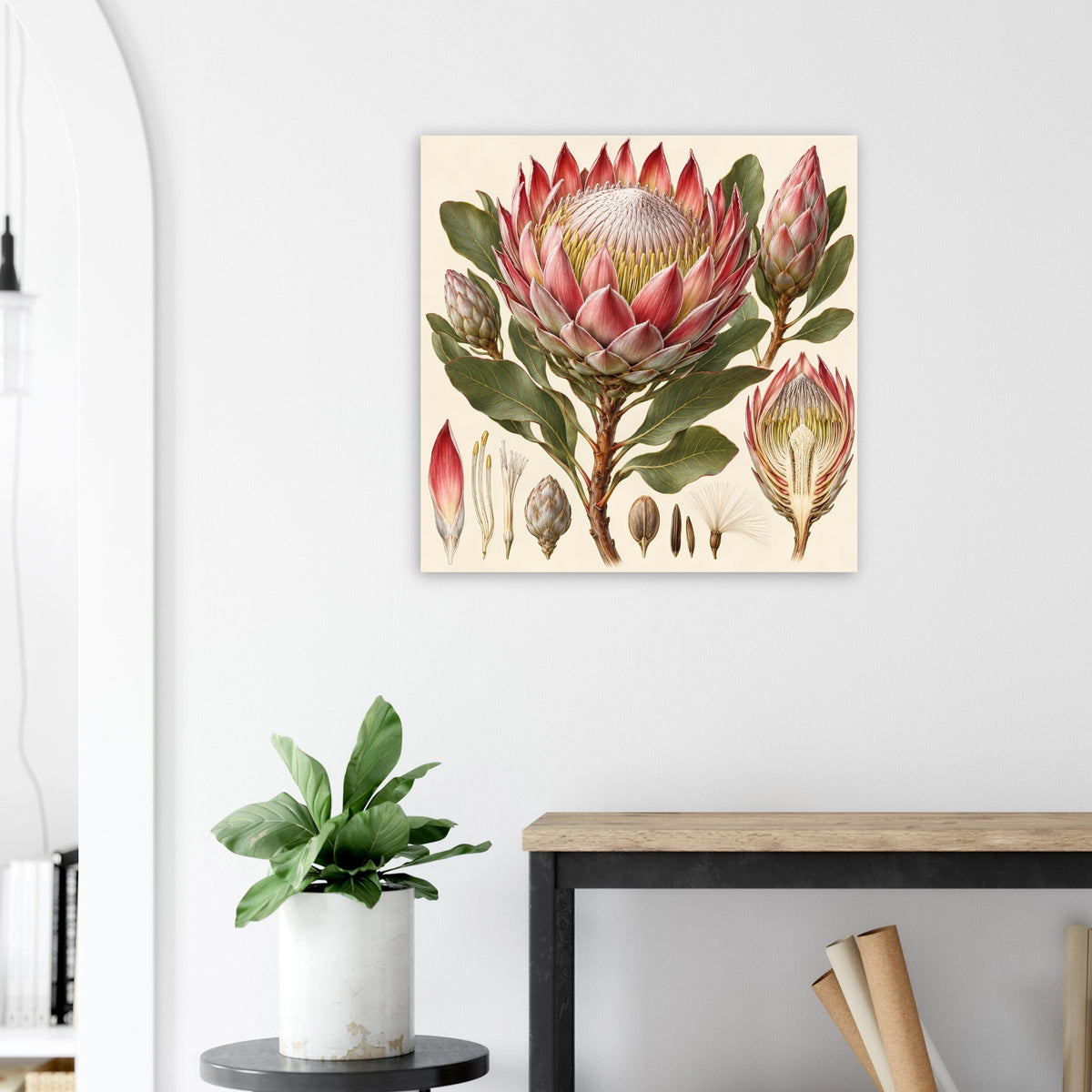 Quadratisches Poster mit Protea-Blüte und Blättern, Rot, Rosa, Grün