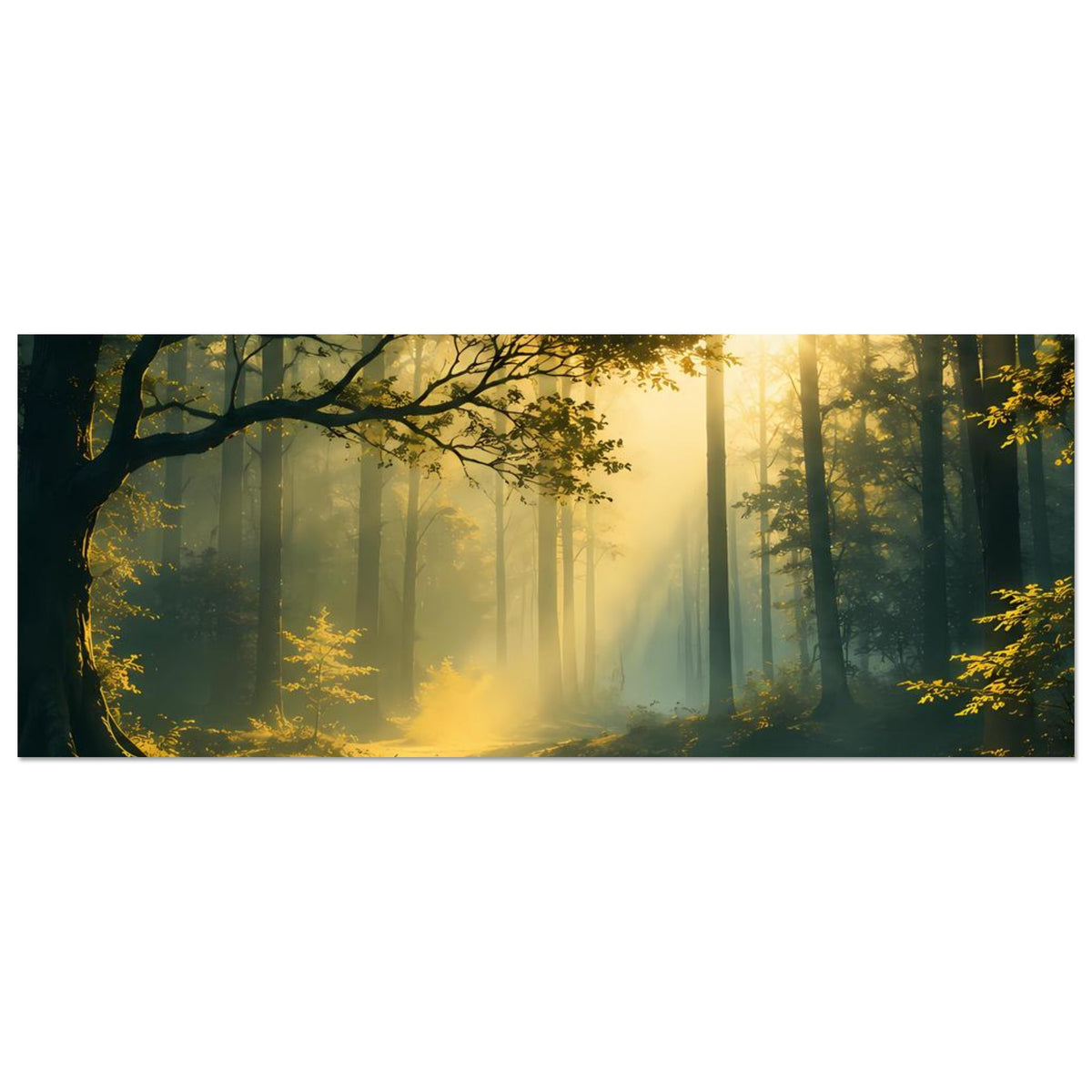 Horizontales Poster: mystischer Wald mit Sonnenlicht, Tannenstämmen und ruhigem Bach