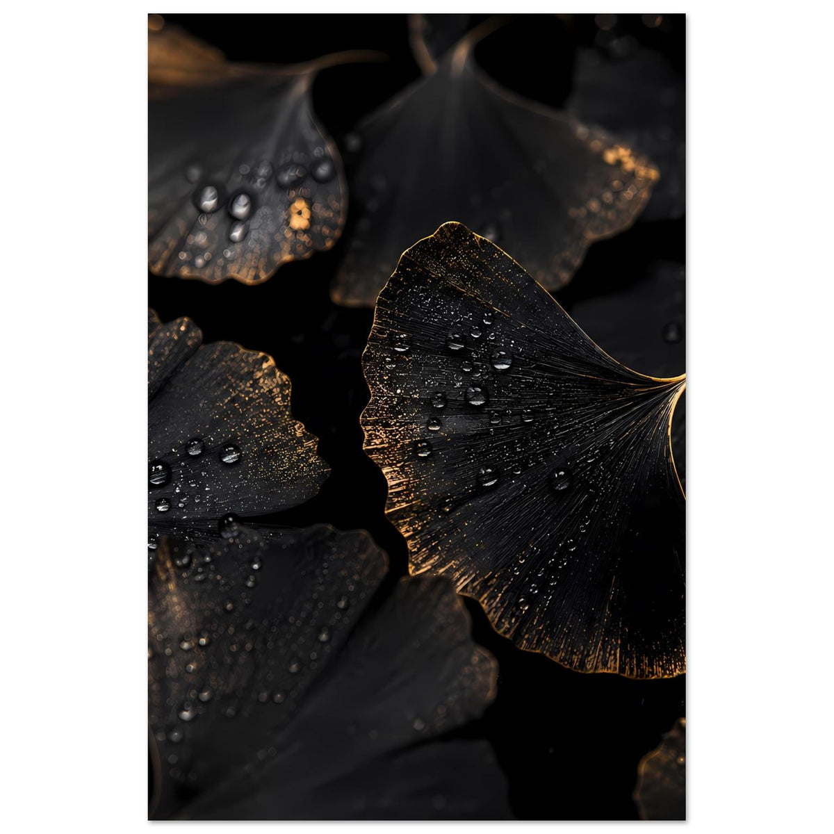 Poster mit Ginkgo-Blättern in dunklem Schwarz und goldenem Akzent, mit Wassertropfen