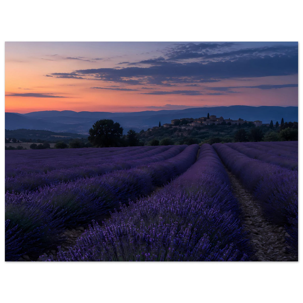 Wandposter mit Lavendelfeld und Abendhimmel, Landschaft mit violetten Feldern und Pfad
