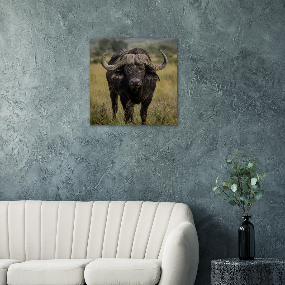 Poster mit schwarzem Afrikanischem Büffel im Gras, zentral angeordnet