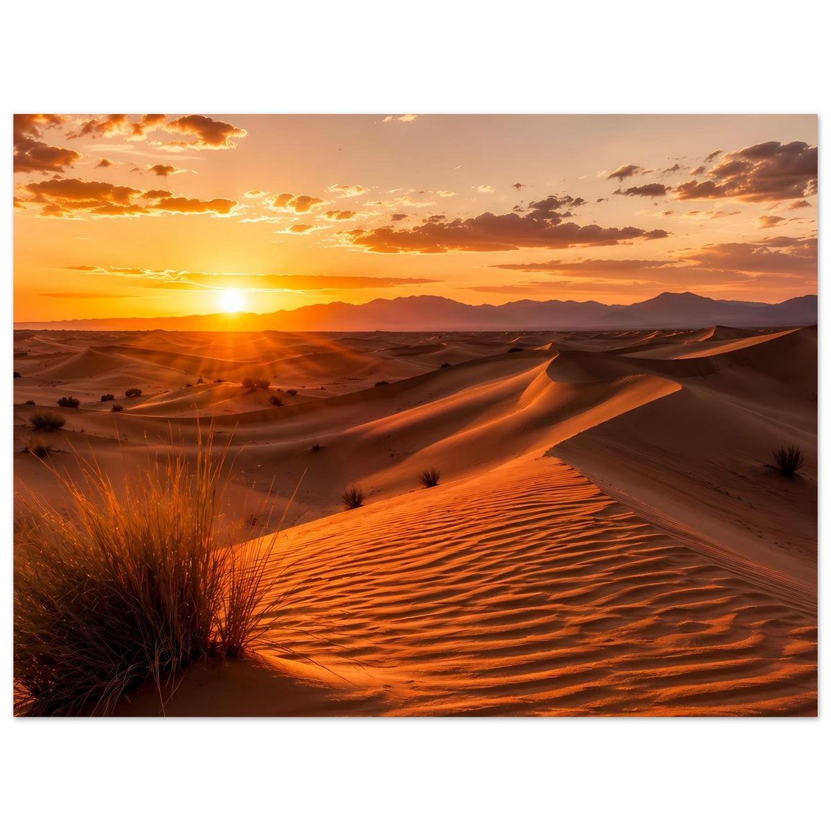 Wüstenlandschafts-Poster mit Sanddünen, Nebeltal und Sonnenuntergang, horizontal