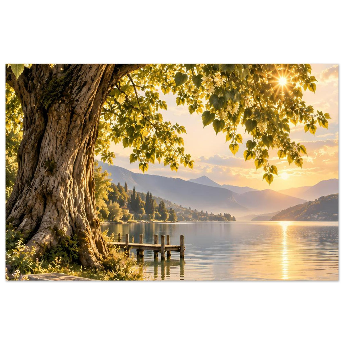 Poster (Querformat): Baum am Seeufer, Holzsteg und goldene Abendsonne