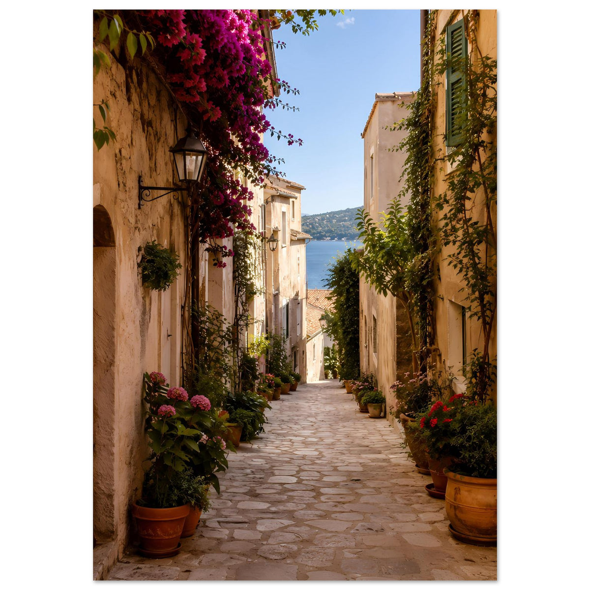 Gerahmtes Hochformat-Poster: Gasse mit beigen Häusern, violetten Blüten und grünen Reben