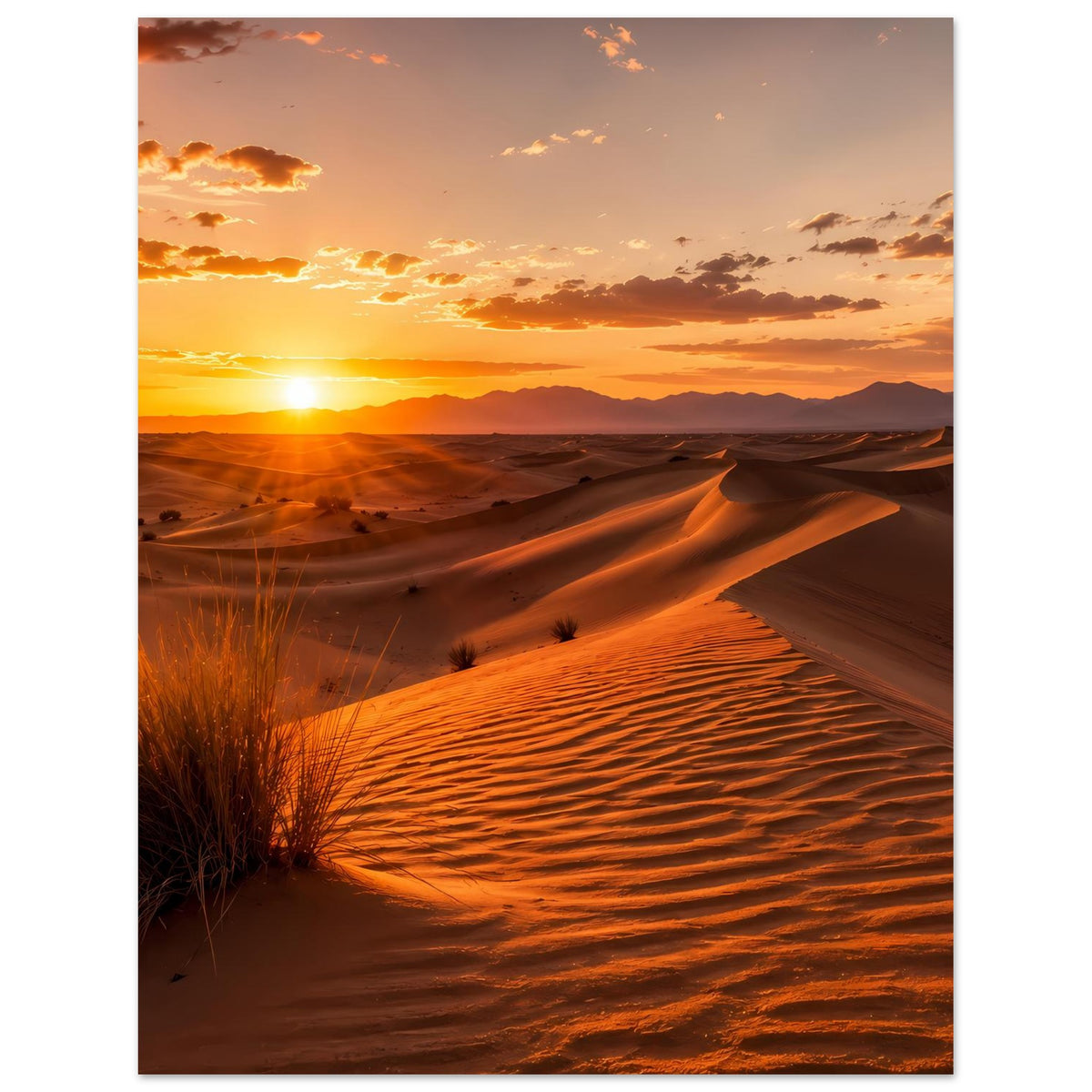 Wüstenlandschafts-Poster: Dünenweg bei Sonnenaufgang mit warmen Farbverläufen