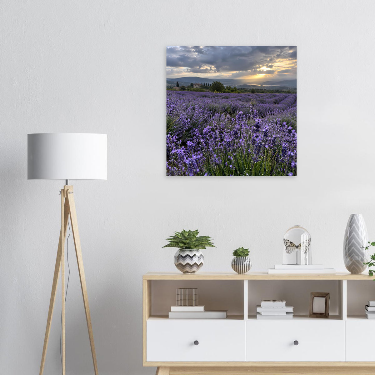Poster mit Lavendelfeld und Sonnenuntergang am Horizont, violette Blüten