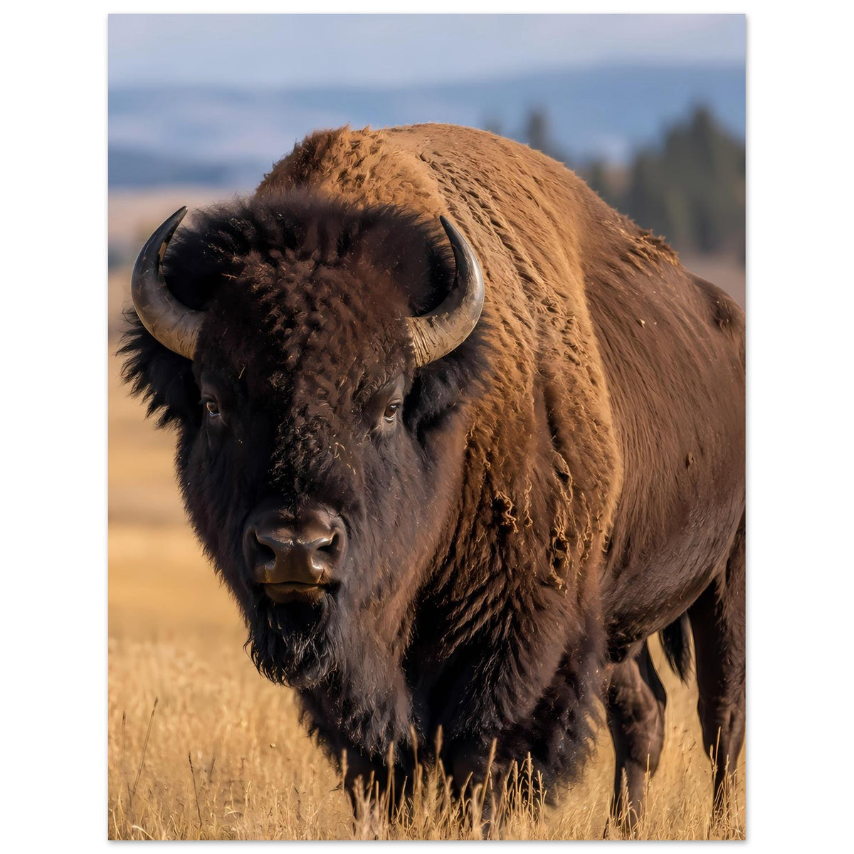 Bison-Wildtierposter im Hochformat, markante Hörner, bräunliches Fell, dunkles Gesicht