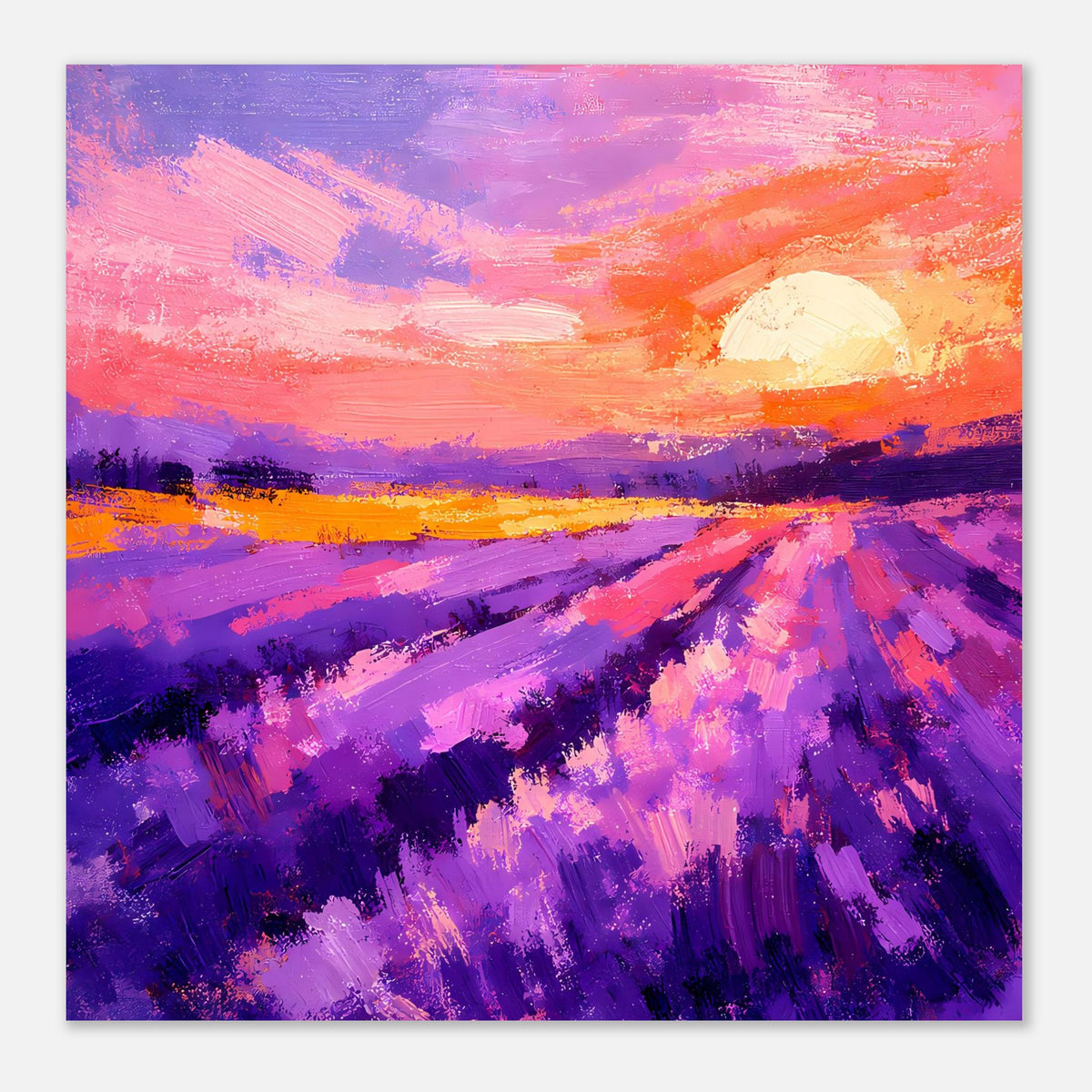 Poster, quadratisch: Lavendelfeld im Abendlicht mit orange-rotem Himmel und Sonne