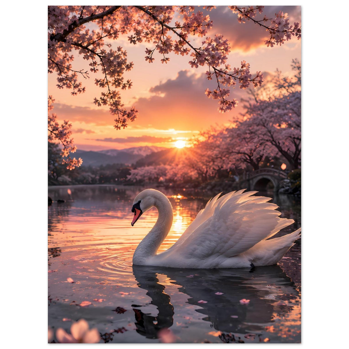 Poster mit weißem Schwan am See bei Sonnenuntergang, Blütenzweige und Sonnenreflexe