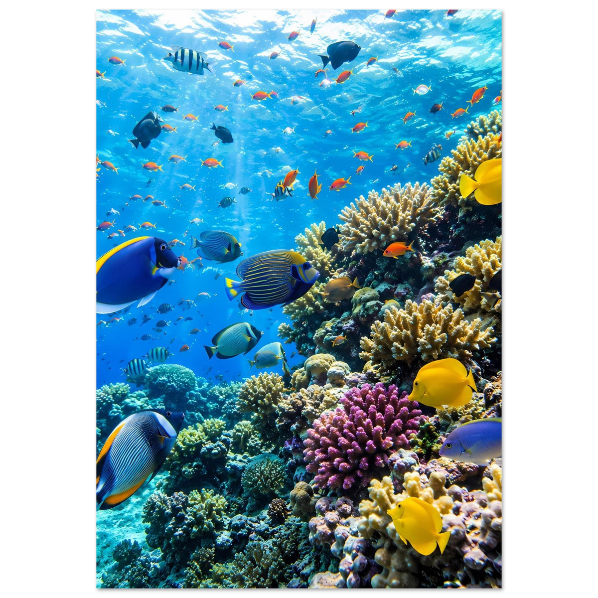 Korallenriff-Poster mit gelben und blauen Fischen sowie violetten Korallen in der Mitte