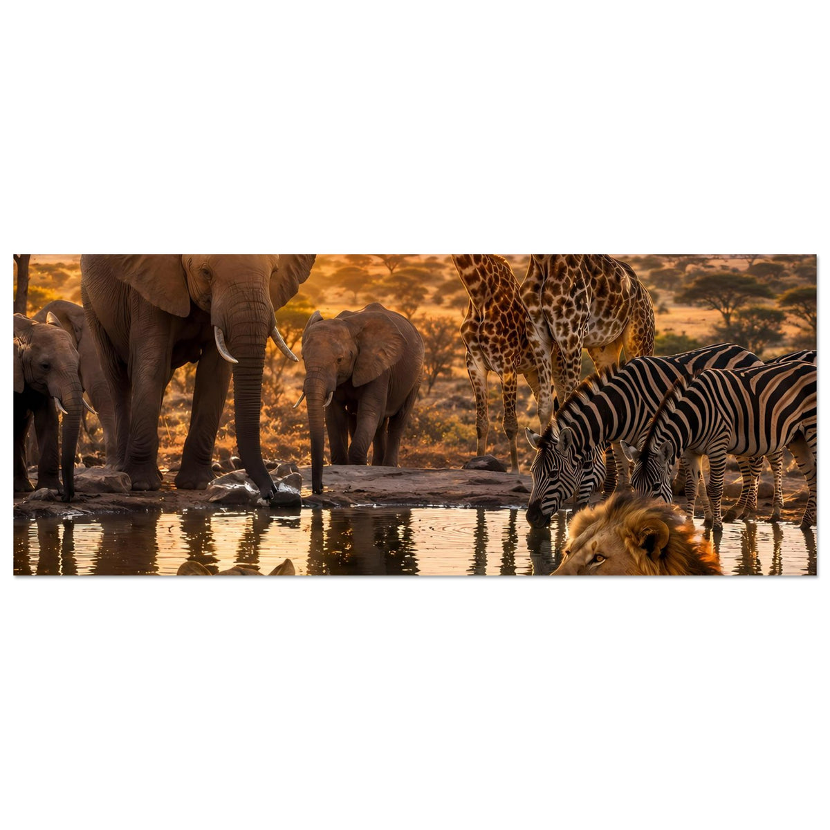 Horizontales Tiermotiv-Poster: Löwe, Elefant, Giraffe & Zebra im Sonnenuntergang