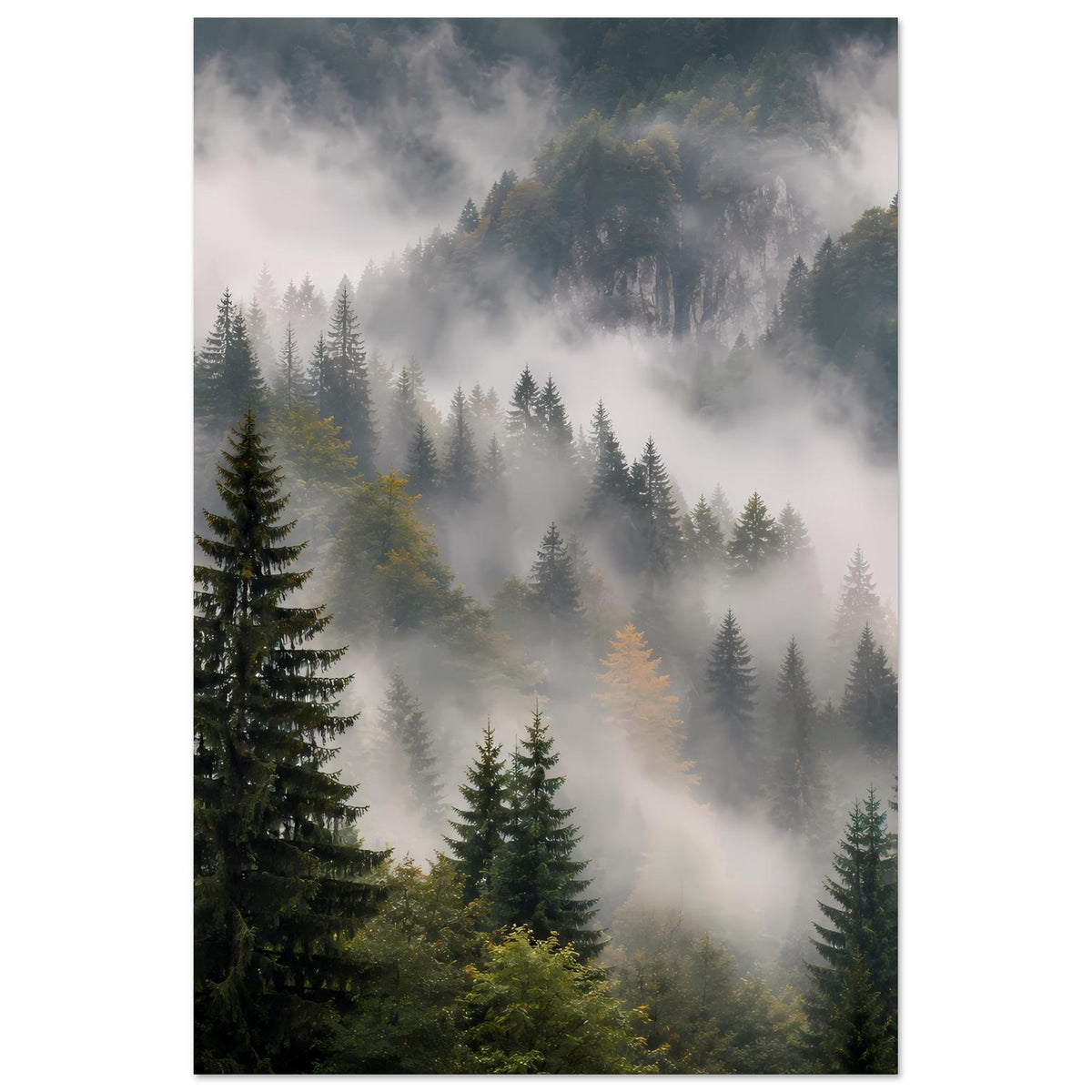 Hochformat-Poster mit Nadelbäumen im Nebel und feinen Nebelschwaden